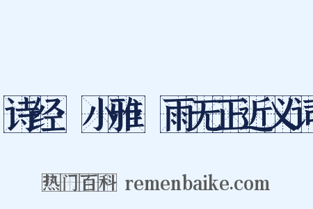 诗经·小雅·雨无正近义词是什么意思的图片